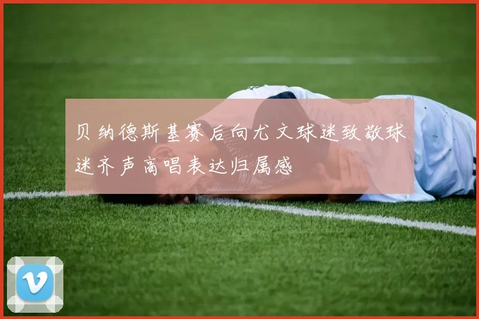 贝纳德斯基赛后向尤文球迷致敬球迷齐声高唱表达归属感