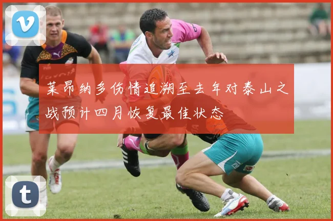 莱昂纳多伤情追溯至去年对泰山之战预计四月恢复最佳状态