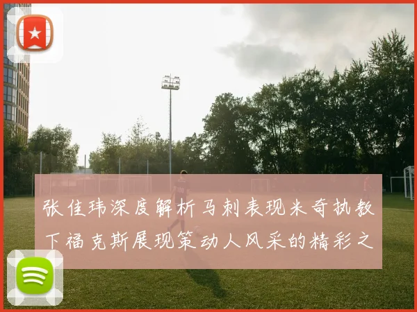 张佳玮深度解析马刺表现米奇执教下福克斯展现策动人风采的精彩之战